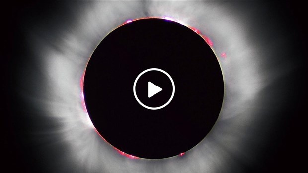 Vivre l'éclipse solaire comme une expérience humaine multisensorielle