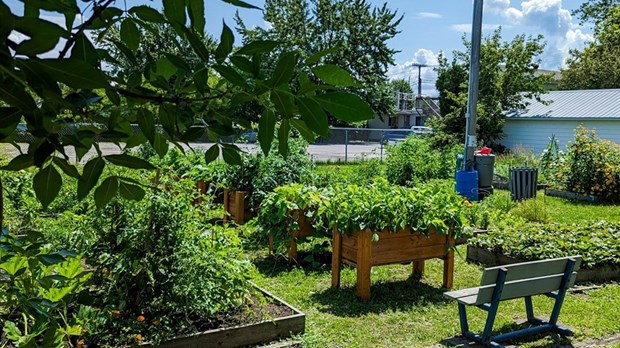 Jardin communautaire: des espaces encore disponibles à Les Coteaux 