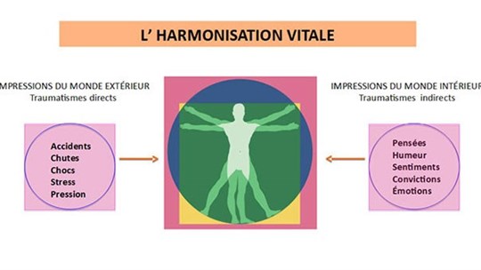 Au nom de la santé ; l'optimisme, ça s'apprend ! (partie 2)