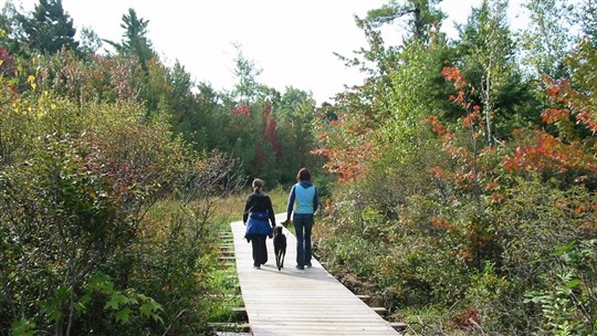 Une journée typique d’automne dans Vaudreuil-Soulanges