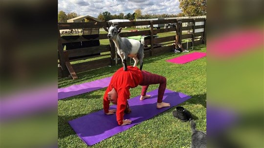 Destination yoga dans Vaudreuil-Soulanges