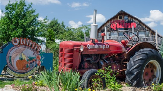  Trois arrêts incontournables à faire, à Notre-Dame-de-l’Île-Perrot cet automne