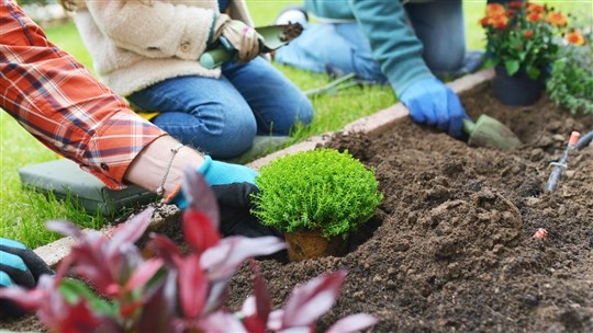 Hommage au jardinage