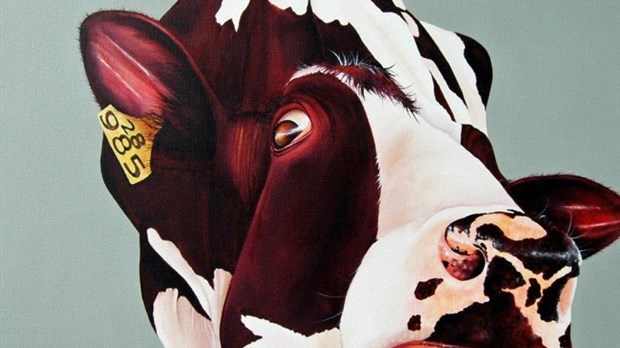 Ah! La vache!