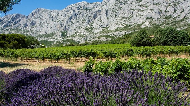 « Provence, une palette de couleurs »