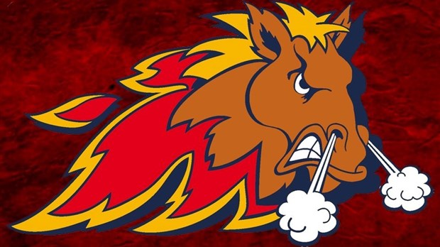 Les Mustangs de Vaudreuil-Dorion arrêtent leur choix sur Guillaume Bisaillon