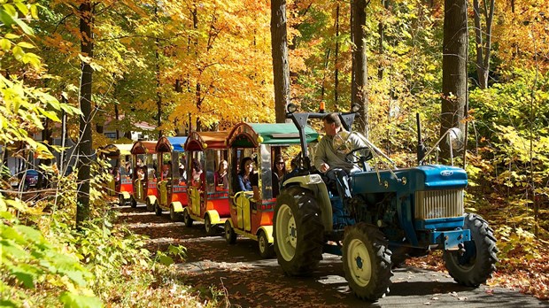 Nouveau site Internet pour le Festival des couleurs de Rigaud