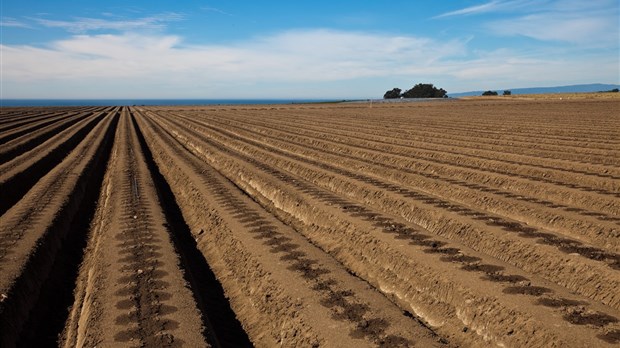 Le CLD et la MRC veulent réduire les impacts pour les agriculteurs