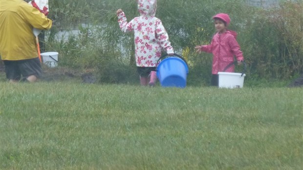 La journée des arbres TD, mission accomplie malgré la pluie!