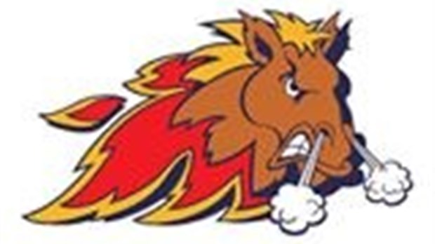 Défaite des Mustangs et des Braves