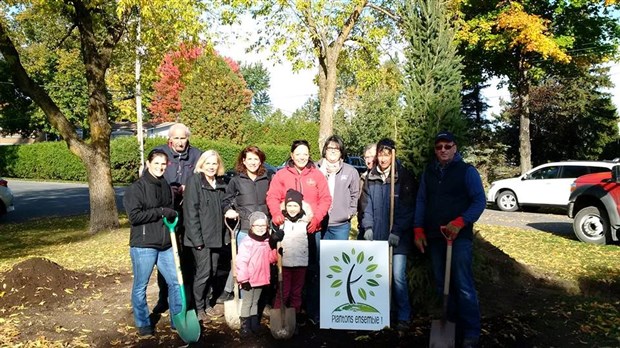 La députée Lucie Charlebois plante des arbres