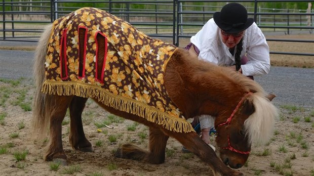 Saint-Lazare au galop dévoile sa programmation