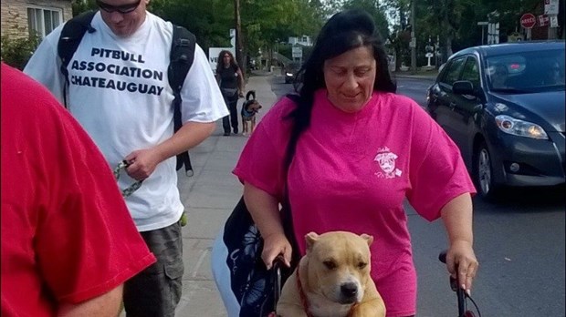 Une vingtaine de participants à la marche pour s'opposer à la législation spécifique des races de chiens 