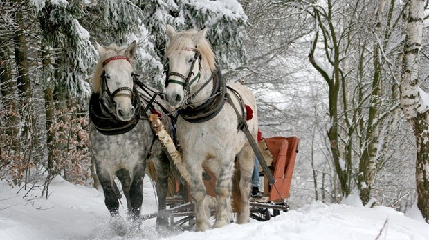 Un hiver traditionnel à Vaudreuil-Dorion