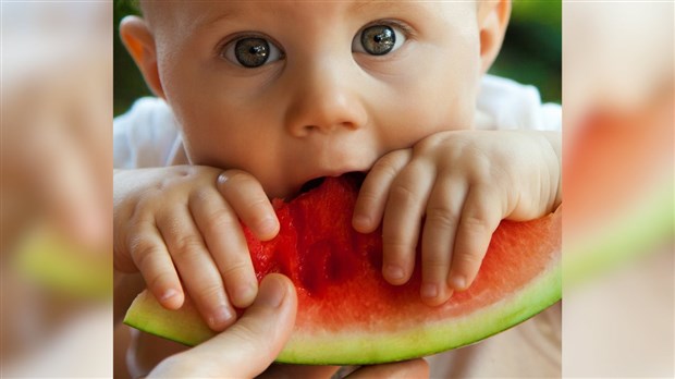 Introduction des solides chez bébé - DME