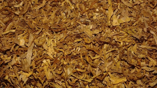 Deux jeunes de Les Cèdres arrêtés pour contrebande de tabac