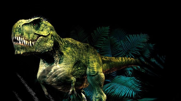 Octobre : Disparition, arrestations et dinosaures font les manchettes