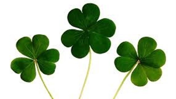 Hudson se donne des airs d'Irlande en l'honneur de la Saint-Patrick