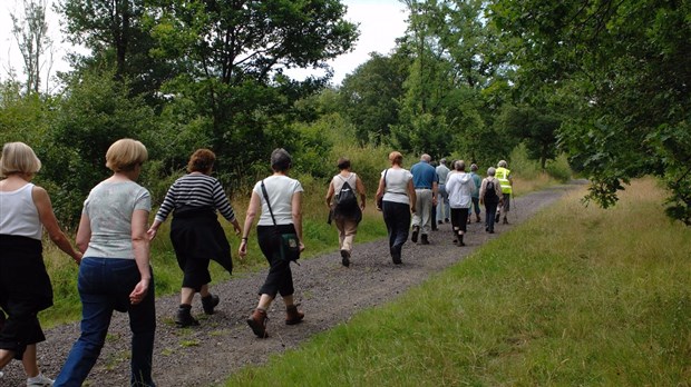 Des marcheurs recherchés à Rivière-Beaudette