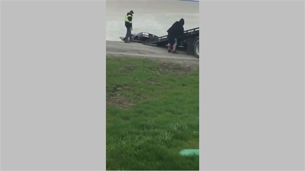 EXCLUSIF:  La voiture tombée dans le lac des Deux-Montagnes a été repêchée.