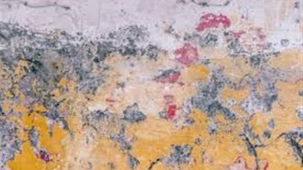 Conférences gratuites pour les sinistrés: la moisissure et la santé