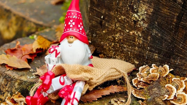 Vivez la magie de Noël à la Maison Trestler