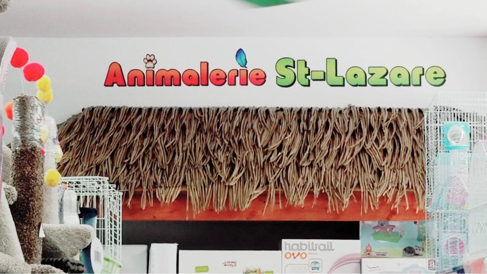 Animalerie StLazare un paradis pour les amoureux d’animaux