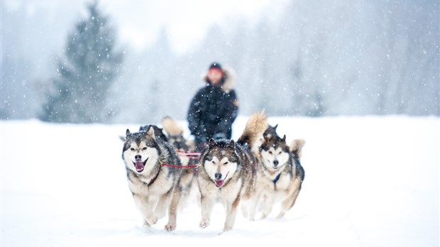 12 idées cadeaux pour offrir le Québec à Noël