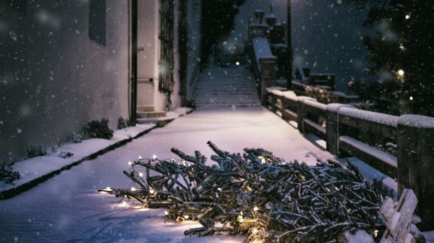 C'est demain que débute la collecte des sapins de Noël dans Vaudreuil-Dorion