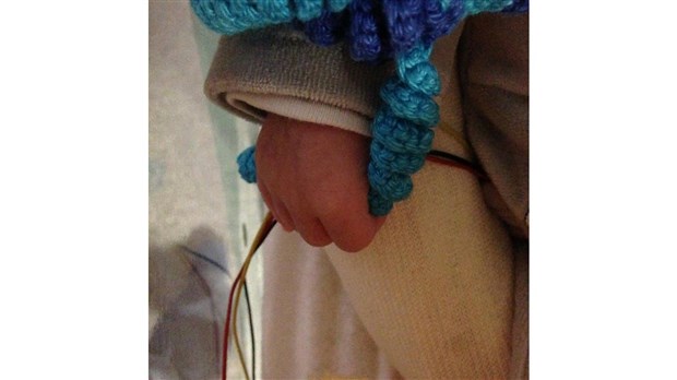 Bénévoles recherchés à Rigaud pour le premier Café pieuvre 