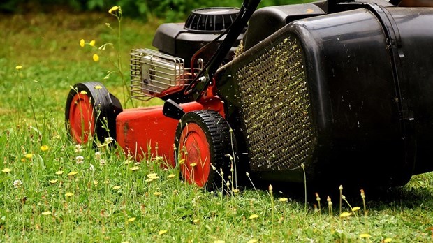 La Ville de Vaudreuil-Dorion incite ses citoyens à opter pour l'herbicyclage