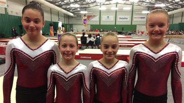 Gymini fait bonne figure à la Coupe Provinciale de gymnastique artistique