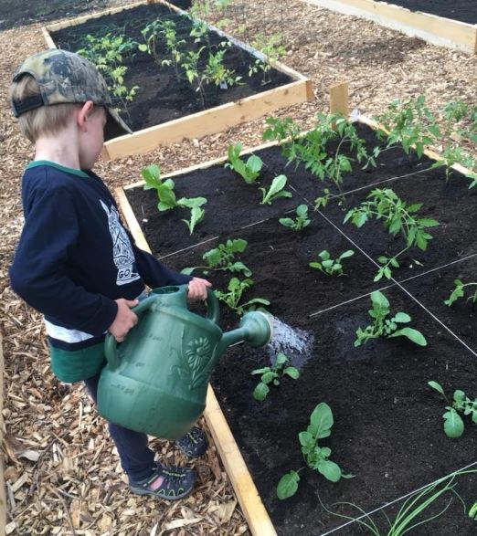 Jardinons ! TerrasseVaudreuil le premier jardin communautaire de