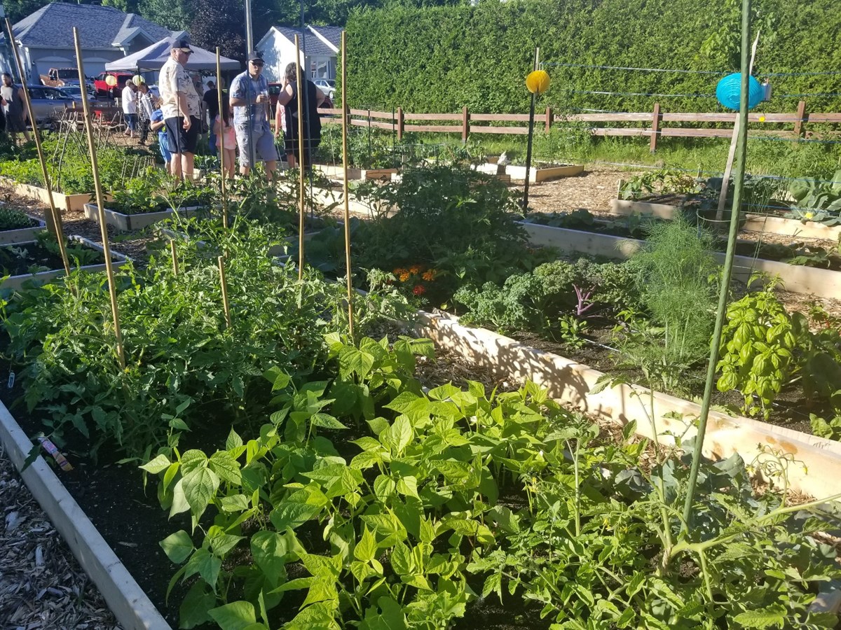 TerrasseVaudreuil a enfin son jardin communautaire
