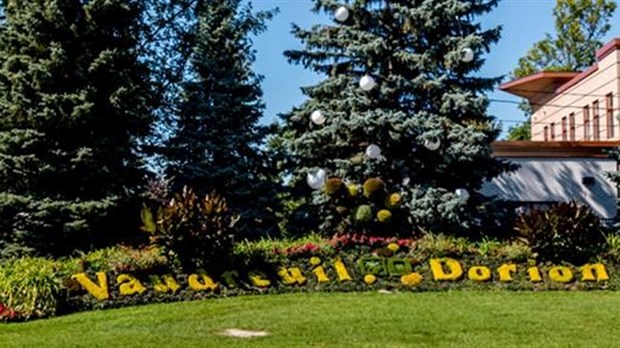 Un comité se penchera sur le projet de revitalisation du boulevard Harwood