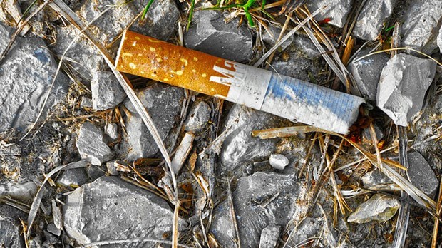 Mise en garde contre les feux de paillis et de terre noire  causés par un article de fumeur 