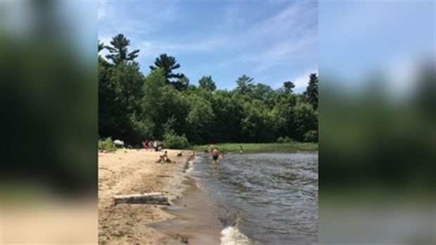 Les chiens maintenant interdits à Sandy Beach
