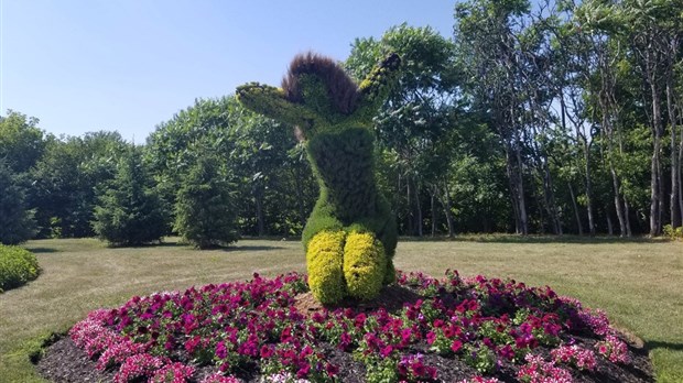 Amusez-vous dans Vaudreuil-Soulanges cette fin de semaine
