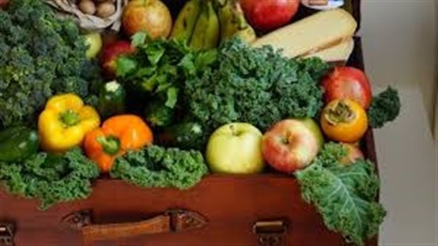 Profitez des fruits et légumes de saison toute l'année