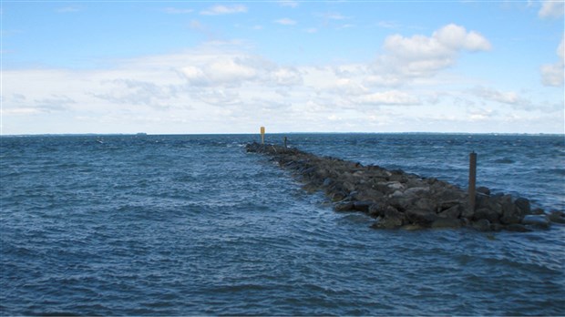 Découvrez le lac Saint-François autrement grâce au Comité ZIP Haut-Saint-Laurent 