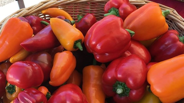 Dégustations et atelier spécial au Marché des saveurs de L'Île-Perrot