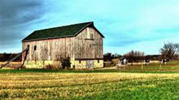 Immortalisez votre prochaine visite à la ferme pourrait être payant 