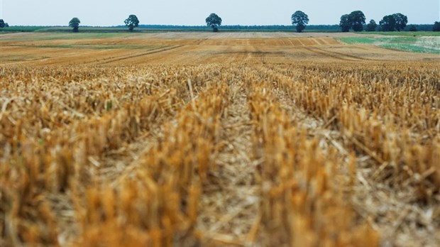 La Caravane de santé des sols sera de passage dans Vaudreuil-Soulanges