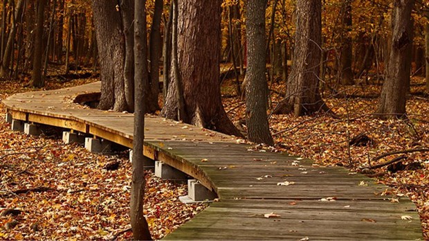 Un automne riche en activités extérieures à la Ville de Rigaud 