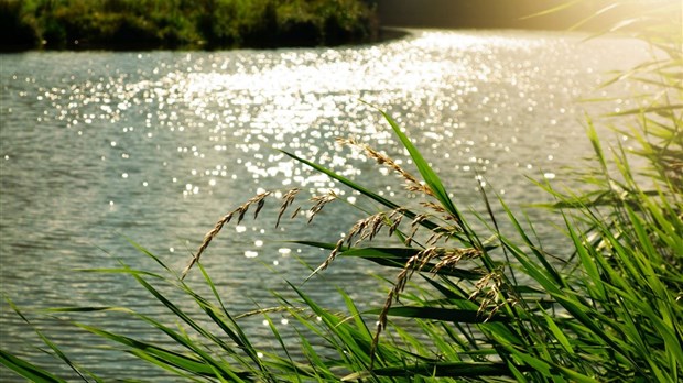 Le Show Courant : pour la protection de l'eau potable
