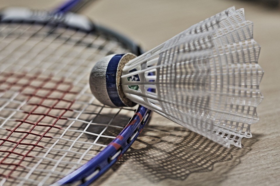 Balles de badminton Zerodis, plume de volant de badminton + liège composé  pour l'entraînement sportif pour enfants adultes pour un jeu décontracté 