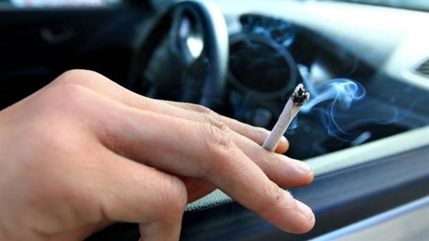 Conduite automobile et cannabis : 5 règles à savoir