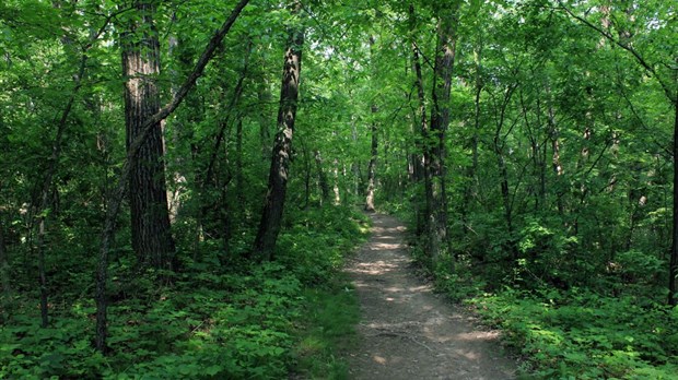 Faites une escapade gourmande dans les Sentiers de l'Escapade
