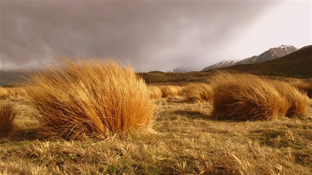 Des vents forts attendus sur la région en fin de journée 