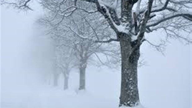 Dix centimètres de neige pourraient tomber sur la région au cours des prochaines heures 